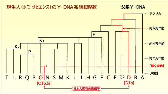 x-cm`n}